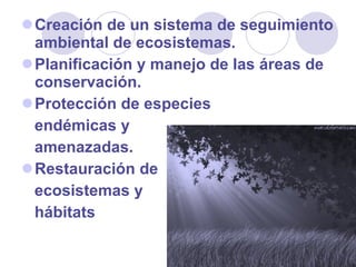 Creación de un sistema de seguimiento ambiental de ecosistemas.  Planificación y manejo de las áreas de conservación. Protección de especies endémicas y  amenazadas. Restauración de  ecosistemas y hábitats   