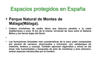 Espacios protegidos en España Parque Natural de Montes de Málaga(Málaga). Cadena montañosa de media altura que discurre paralela a la costa mediterránea a unos 15 km de la misma, sirviendo de nexo entre el Sistema Bético y las tierras bajas del litoral. Las formaciones forestales más características de la zona están compuestas por pinares de carrasco, alcornocales y encinares. con sotobosque do madroño, lentisco y coscoja. También aparecen algarrobos y olivos en Ias áreas más humanizadas y bosquetes de pino de monterrey y pino piñonero, ambas especies introducidas por el hombre. 