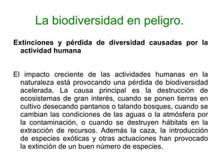 La biodiversidad en peligro. Extinciones y pérdida de diversidad causadas por la actividad humana El impacto creciente de las actividades humanas en la naturaleza está provocando una pérdida de biodiversidad acelerada. La causa principal es la destrucción de ecosistemas de gran interés, cuando se ponen tierras en cultivo desecando pantanos o talando bosques, cuando se cambian las condiciones de las aguas o la atmósfera por la contaminación, o cuando se destruyen hábitats en la extracción de recursos. Además la caza, la introducción de especies exóticas y otras actuaciones han provocado la extinción de un buen número de especies.  