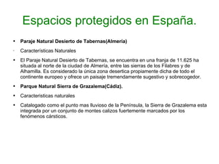 Espacios protegidos en España. Paraje Natural Desierto de Tabernas(Almería) Características Naturales El Paraje Natural Desierto de Tabernas, se encuentra en una franja de 11.625 ha situada al norte de la ciudad de Almería, entre las sierras de los Filabres y de Alhamilla. Es considerado la única zona desertica propiamente dicha de todo el continente europeo y ofrece un paisaje tremendamente sugestivo y sobrecogedor. Parque Natural Sierra de Grazalema(Cádiz). Caracteristicas naturales Catalogado como el punto mas lluvioso de la Península, la Sierra de Grazalema esta integrada por un conjunto de montes calizos fuertemente marcados por los fenómenos cársticos. 