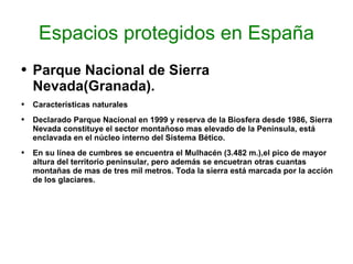 Espacios protegidos en España Parque Nacional de Sierra Nevada(Granada). Características naturales Declarado Parque Nacional en 1999 y reserva de la Biosfera desde 1986, Sierra Nevada constituye el sector montañoso mas elevado de la Península, está enclavada en el núcleo interno del Sistema Bético. En su línea de cumbres se encuentra el Mulhacén (3.482 m.),el pico de mayor altura del territorio peninsular, pero además se encuetran otras cuantas montañas de mas de tres mil metros. Toda la sierra está marcada por la acción de los glaciares.  