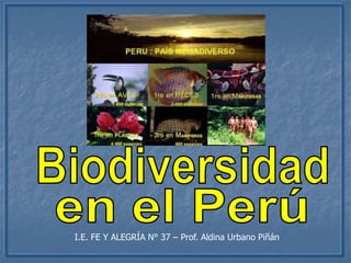 Biodiversidad en el Perú I.E. FE Y ALEGRÍA N° 37 – Prof. Aldina Urbano Piñán 