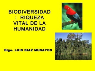 BIODIVERSIDADBIODIVERSIDAD
: RIQUEZA: RIQUEZA
VITAL DE LAVITAL DE LA
HUMANIDADHUMANIDAD
Blgo. LUIS DIAZ MUSAYONBlgo. LUIS DIAZ MUSAYON
 