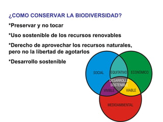 ¿COMO CONSERVAR LA BIODIVERSIDAD? *Preservar y no tocar *Uso sostenible de los recursos renovables *Derecho de aprovechar los recursos naturales, pero no la libertad de agotarlos *Desarrollo sostenible 