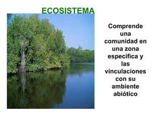 ECOSISTEMA Comprende una comunidad en una zona especifica y las vinculaciones con su ambiente abiótico 