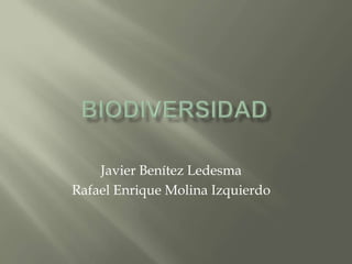 biodiversidad Javier Benítez Ledesma Rafael Enrique Molina Izquierdo  