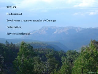 Cerro Blanco, Dgo. TEMAS Biodiversidad Ecosistemas y recursos naturales de Durango Problemática Servicios ambientales 