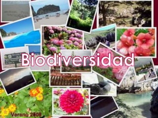 Biodiversidad 