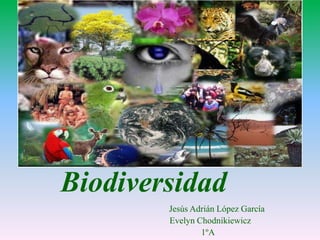Biodiversidad
        Jesús Adrián López García
        Evelyn Chodnikiewicz
                1ºA
 