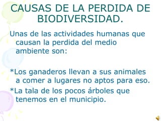 Biodiversidad 