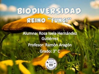 Biodiversidad (Reino Fungi)