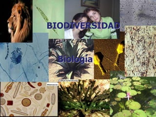 BIODIVERSIDAD


 Biología
 