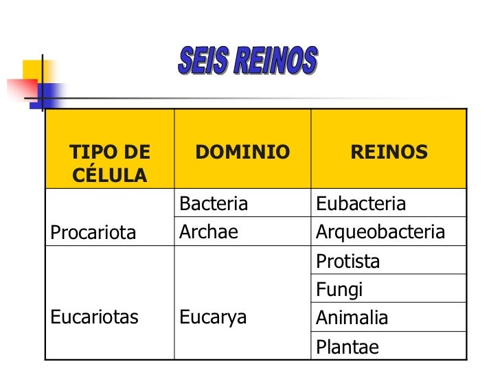 Biodiversidad