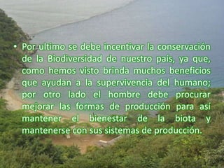 • Por ultimo se debe incentivar la conservación
  de la Biodiversidad de nuestro país, ya que,
  como hemos visto brinda muchos beneficios
  que ayudan a la supervivencia del humano;
  por otro lado el hombre debe procurar
  mejorar las formas de producción para así
  mantener el bienestar de la biota y
  mantenerse con sus sistemas de producción.
 