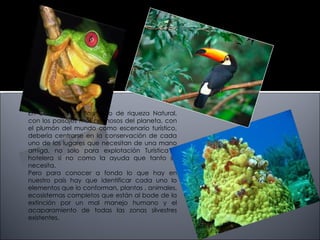 En Colombia un País lleno de riqueza Natural,
con los paisajes más hermosos del planeta, con
el plumón del mundo como escenario turístico,
debería centrarse en la conservación de cada
uno de los lugares que necesitan de una mano
amiga, no solo para explotación Turística y
hotelera si no como la ayuda que tanto se
necesita.
Pero para conocer a fondo lo que hay en
nuestro país hay que identificar cada uno lo
elementos que lo conforman, plantas , animales,
ecosistemas completos que están al bode de la
extinción por un mal manejo humano y el
acaparamiento de todas las zonas silvestres
existentes.
