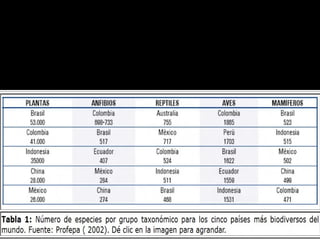 Al reconocer especies de plantas y animales de nuestro país
podemos decir que estamos dentro de los 5 países mas ricos del
planeta en cuanto a ecosistemas marinos y terrestres.