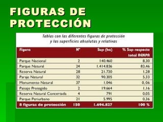 FIGURAS DE
PROTECCIÓN
 