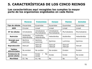 5. CARACTERÍSTICAS DE LOS CINCO REINOS
Las características aquí recogidas las cumplen la mayor
parte de los organismos englobados en cada Reino



                    Moneras           Protoctistas            Hongos           Plantas          Animales

Tipo de células   Procariotas        Eucariotas          Eucariotas       Eucariotas       Eucariotas
     ADN          Circular           Lineal              Lineal           Lineal           Lineal
                                     Unicelulares /      Unicelulares /
Nº de células     Unicelulares                                            Pluricelulares   Pluricelulares
                                     Pluricelulares      Pluricelulares
                  Autótrofos /       Autótrofos      /
  Nutrición                                              Heterótrofos     Autótrofos       Heterótrofos
                  Heterótrofos       Heterótrofos
 Energía que      Química        /   Química         /
                                                         Química          Luminica         Química
   utilizan       Luminica           Luminica
                                     Asexual             Asexual          Asexual
Reproducción      Asexual                                                                  Sexual
                                     /Sexual             /Sexual          /Sexual
   Tejidos
                  No existen         No existen          No existen       Existen          Existen
diferenciados
Existencia de                        Existe    /    No
                  Existe                                 Existe           Existe           No existe
pared celular                        existe
  Movilidad       Sí / No            Sí / No             No               No               Sí


                                                                                                        15
 