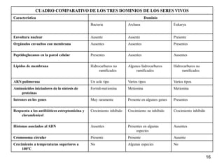 CUADRO COMPARATIVO DE LOS TRES DOMINIOS DE LOS SERES VIVOS
Característica                                                                     Dominio
                                                Bacteria               Archaea                     Eukarya


Envoltura nuclear                               Ausente                Ausente                     Presente
Orgánulos envueltos con membrana                Ausentes               Ausentes                    Presentes

Peptidoglucanos en la pared celular             Presentes              Ausentes                    Ausentes

Lípidos de membrana                             Hidrocarburos no       Algunos hidrocarburos       Hidrocarburos no
                                                     ramificados            ramificados                 ramificados

ARN polimerasa                                  Un solo tipo           Varios tipos                Varios tipos
Aminoácidos iniciadores de la síntesis de       Formil-metionina       Metionina                   Metionina
    proteínas
Intrones en los genes                           Muy raramente          Presente en algunos genes   Presentes

Respuesta a los antibióticos estreptomicina y   Crecimiento inhibido   Crecimiento no inhibido     Crecimiento inhibido
    cloramfenicol

Histonas asociados al ADN                       Ausentes               Presentes en algunas        Ausentes
                                                                            especies
Cromosoma circular                              Presente               Presente                    Ausente
Crecimiento a temperaturas superiores a         No                     Algunas especies            No
     100ºC

                                                                                                                          16
 