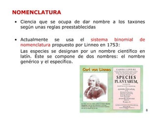 NOMENCLATURA
• Ciencia que se ocupa de dar nombre a los taxones
  según unas reglas preestablecidas

• Actualmente     se    usa el  sistema   binomial  de
  nomenclatura propuesto por Linneo en 1753:
  Las especies se designan por un nombre científico en
  latín. Éste se compone de dos nombres: el nombre
  genérico y el específico.




                                                         8
 
