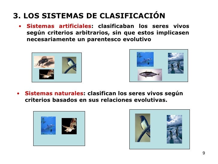 Biodiversidad