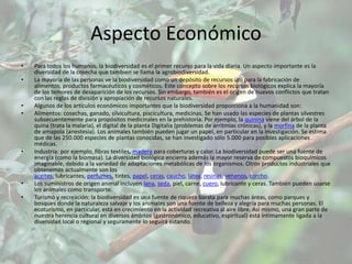 Aspecto Económico
•   Para todos los humanos, la biodiversidad es el primer recurso para la vida diaria. Un aspecto importante es la
    diversidad de la cosecha que también se llama la agrobiodiversidad.
•   La mayoría de las personas ve la biodiversidad como un depósito de recursos útil para la fabricación de
    alimentos, productos farmacéuticos y cosméticos. Este concepto sobre los recursos biológicos explica la mayoría
    de los temores de desaparición de los recursos. Sin embargo, también es el origen de nuevos conflictos que tratan
    con las reglas de división y apropiación de recursos naturales.
•   Algunos de los artículos económicos importantes que la biodiversidad proporciona a la humanidad son:
•   Alimentos: cosechas, ganado, silvicultura, piscicultura, medicinas. Se han usado las especies de plantas silvestres
    subsecuentemente para propósitos medicinales en la prehistoria. Por ejemplo, la quinina viene del árbol de la
    quina (trata la malaria), el digital de la planta Digitalia (problemas de arritmias crónicas), y la morfina de la planta
    de amapola (anestesia). Los animales también pueden jugar un papel, en particular en la investigación. Se estima
    que de las 250.000 especies de plantas conocidas, se han investigado sólo 5.000 para posibles aplicaciones
    médicas.
•   Industria: por ejemplo, fibras textiles, madera para coberturas y calor. La biodiversidad puede ser una fuente de
    energía (como la biomasa). La diversidad biológica encierra además la mayor reserva de compuestos bioquímicos
    imaginable, debido a la variedad de adaptaciones metabólicas de los organismos. Otros productos industriales que
    obtenemos actualmente son los
    aceites, lubricantes, perfumes, tintes, papel, ceras, caucho, látex, resinas, venenos, corcho.
•   Los suministros de origen animal incluyen lana, seda, piel, carne, cuero, lubricante y ceras. También pueden usarse
    los animales como transporte.
•   Turismo y recreación: la biodiversidad es una fuente de riqueza barata para muchas áreas, como parques y
    bosques donde la naturaleza salvaje y los animales son una fuente de belleza y alegría para muchas personas. El
    ecoturismo, en particular, está en crecimiento en la actividad recreativa al aire libre. Así mismo, una gran parte de
    nuestra herencia cultural en diversos ámbitos (gastronómico, educativo, espiritual) está íntimamente ligada a la
    diversidad local o regional y seguramente lo seguirá estando.
 