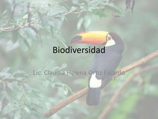 Biodiversidad

Lic. Claudia Helena Ortiz Fajardo
 