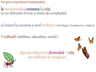 Por qué es importante la biodiversidad?...

la biodiversidad conserva la vida
en sus diferentes formas y niveles de complejidad


al menos la conserva a nivel biológico (fisiológico, bioquímico, médico)


Y cultural? (artístico, educativo, social,)



                 algunas relaciones diversidad = vida
                      son difíciles de imaginar...
 