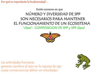 Por qué es importante la biodiversidad?...

                               Existe consenso en que
                 NÚMERO Y DIVERSIDAD DE SPP
               SON NECESARIOS PARA MANTENER
           EL FUNCIONAMIENTO DE UN ECOSISTEMA
                   “clave”: COMPOSICION DE SPP y SPP clave!




Las actividades humanas,
generan cambios al azar en la riqueza de spp.
cuyas consecuencias deben ser estudiadas.
 