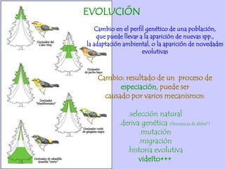 EVOLUCIÓN
    Cambio en el perfil genético de una población,
    que puede llevar a la aparición de nuevas spp.,
la adaptación ambiental, o la aparición de novedades
                      evolutivas



    Cambio: resultado de un proceso de
           especiación, puede ser
      causado por varios mecanismos:

               .selección natural
            .deriva genética (frecuencia de alelos*)
                   .mutación
                   .migración
               .historia evolutiva
                   videíto+++
 