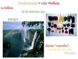 biodiversidad = vida =belleza
La belleza
                  de las distintas spp.,

     paisajes




                                       danzas "nupciales",
                                         estrategias de caza...
                                                      telarañas!
 