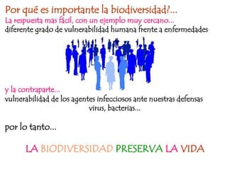 Por qué es importante la biodiversidad?...
La respuesta mas fácil, con un ejemplo muy cercano...
diferente grado de vulnerabilidad humana frente a enfermedades




y la contraparte...
vulnerabilidad de los agentes infecciosos ante nuestras defensas
                           virus, bacterias...

por lo tanto...

      LA BIODIVERSIDAD PRESERVA LA VIDA
 