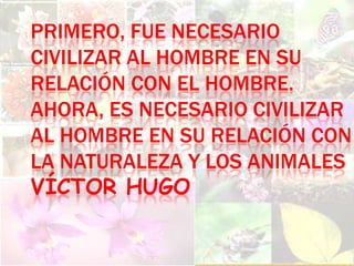 PRIMERO, FUE NECESARIO
CIVILIZAR AL HOMBRE EN SU
RELACIÓN CON EL HOMBRE.
AHORA, ES NECESARIO CIVILIZAR
AL HOMBRE EN SU RELACIÓN CON
LA NATURALEZA Y LOS ANIMALES
VÍCTOR HUGO
 