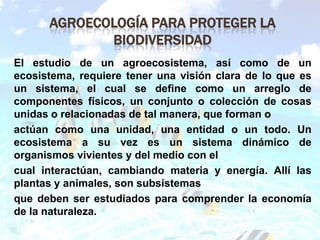 AGROECOLOGÍA PARA PROTEGER LA
             BIODIVERSIDAD
El estudio de un agroecosistema, así como de un
ecosistema, requiere tener una visión clara de lo que es
un sistema, el cual se define como un arreglo de
componentes físicos, un conjunto o colección de cosas
unidas o relacionadas de tal manera, que forman o
actúan como una unidad, una entidad o un todo. Un
ecosistema a su vez es un sistema dinámico de
organismos vivientes y del medio con el
cual interactúan, cambiando materia y energía. Allí las
plantas y animales, son subsistemas
que deben ser estudiados para comprender la economía
de la naturaleza.
 
