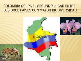 COLOMBIA OCUPA EL SEGUNDO LUGAR ENTRE
LOS DOCE PAÍSES CON MAYOR BIODIVERSIDAD
 