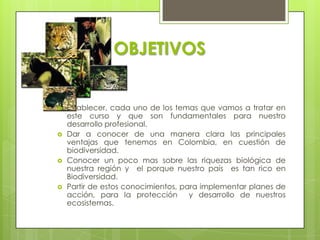OBJETIVOS


   Establecer, cada uno de los temas que vamos a tratar en
    este curso y que son fundamentales para nuestro
    desarrollo profesional.
   Dar a conocer de una manera clara las principales
    ventajas que tenemos en Colombia, en cuestión de
    biodiversidad.
   Conocer un poco mas sobre las riquezas biológica de
    nuestra región y el porque nuestro país es tan rico en
    Biodiversidad.
   Partir de estos conocimientos, para implementar planes de
    acción, para la protección       y desarrollo de nuestros
    ecosistemas.
 