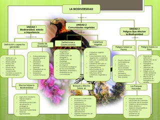 LA BIODIVERSIDAD


                                                                                         Se dividen en




                                                                                UNIDAD 2
                              UNIDAD 1                                     Comunidades vegetales
                       Biodiversidad, estado                                                                                                         UNIDAD 3
                           e importancia                                                 Consta de:                                            Peligros Que Afectan
                                                                                                                                                 la Biodiversidad
                              Comprenden de:
                                                                                                                                                            contienen


                                                                 Definiciones y                               Cobertura
    Definición y aspectos                      Clases de                                                       Vegetal
                                                                 Clasificaciones
          generales                            Diversidad                                                                            Peligros Sobre La                      Peligros Sobre La
                                                            •   Comunidades                                                                Fauna                                  Flora
                                                                Vegetales y                           •   Cobertura vegetal,
                                                                clasificación                             definición
                                   •   Potencialidades y    •   Clasificación de                      •   Caracterización de la                                         •     Especies en
•    Definición y su                   requisito para el        Margalef y                                vegetación y cobertura                                              extinción y
     importancia                       desarrollo               Clasificación de                          del suelo vs perdida del                                            disminución en la
                                                                                                                                     •   Fauna y flora en
•    Estado global                 •   Diversidad               Holdridge                                 suelo y agua                                                        población
                                                                                                                                         los Ecosistemas
•    Producción                        Genética             •   Comunidades                           •   Cobertura del suelo vs                                        •     Transgénicos,
                                                                                                                                     •   Funciones
     alimentaria                   •   Diversidad de            ecológicas                                plantas y sus residuos                                              definición
                                                                                                                                     •   Clasificación y
•    Estado de los                     Especies             •   Sucesiones ecológicas                 •   Características                                               •     Utilización de
                                                                                                                                         fauna silvestre
     sistemas de                   •   Diversidad de los        en las comunidades                        estructurales de la                                                 transgénicos
                                                                                                                                     •   Fauna amansada
     conservación                      Ecosistemas          •   Densidad, diversidad y                    cobertura vegetal                                             •     Peligro para el
                                                                                                                                         y fauna
•    Factores q causan la          •   Diversidad               similaridad en las                    •   Estructura de las                                                   medio ambiente
                                                                                                                                         domestica
     perdida biológica                 cultural Humana          comunidades                               coberturas vegetales y                                              de transgénico
                                                                                                                                     •   Fauna exótica y
                                                                                                          tipos                          flora silvestre                •     Efectos en la
                                                                                                                                                                              población de
                                                                                                                                                                              transgénicos y
                                                                                                                                                                              semillas

                      Efectos Sobre la                                             Bosques y Efectos                                                   Los Parques
                       Biodiversidad                                                   Sobre el                                                         Naturales



                  •   Agricultura Moderna
                  •   Agroecología y                                           •    Bosques y clasificación                                       •   Parques naturales
                      Hambre                                                   •    Ecosistema y su                                                   nacionales de Colombia
                  •   Mantener producción                                           Importancia                                                   •   Funciones de los parques
                      de alimentos, y                                          •    Deforestación y                                               •   Objetivos de los parques
                      proteger la                                                   Calentamiento Global                                          •   Áreas silvestres y
                      biodiversidad.                                           •    Desertificación y                                                 regiones biogeográficas
                  •   Desarrollo Sustentable                                        agentes de la                                                 •   Los parques mas
                  •   Sistemas                                                      deforestación                                                     importantes y
                      Agroforestales                                           •    Agentes importantes de                                            problemas de
                                                                                    la deforestación                                                  conservación
 