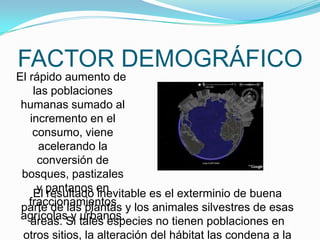 FACTOR DEMOGRÁFICO
El rápido aumento de
    las poblaciones
 humanas sumado al
   incremento en el
    consumo, viene
     acelerando la
     conversión de
 bosques, pastizales
    El pantanos en
     y resultado inevitable es el exterminio de buena
   fraccionamientos
 parte de las plantas y los animales silvestres de esas
 agrícolasSi tales especies no tienen poblaciones en
   áreas. y urbanos.
 otros sitios, la alteración del hábitat las condena a la
 