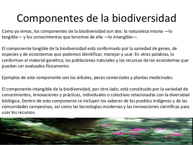 Biodiversidad