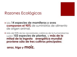 Razones Ecológicas

 Sólo 14
       especies de mamiferos y aves
 componen el 90% de suministros de alimento
 de origen animal.
 Más del 90% de las necesidades calóricas de la humanidad las
  suplen 103 especies de plantas, y más de la
 mitad de la ingesta energética mundial
 proviene sólo de tres cultivos principales:

  arroz, trigo y maíz.
 