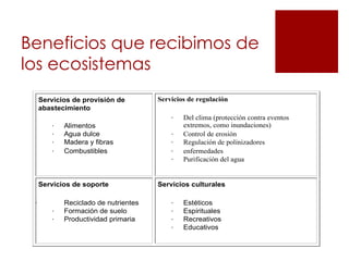Beneficios que recibimos de
los ecosistemas
     Servicios de provisión de        Servicios de regulación
     abastecimiento
                                          ·   Del clima (protección contra eventos
        ·   Alimentos                         extremos, como inundaciones)
        ·   Agua dulce                    ·   Control de erosión
        ·   Madera y fibras               ·   Regulación de polinizadores
        ·   Combustibles                  ·   enfermedades
                                          ·   Purificación del agua


     Servicios de soporte             Servicios culturales

 ·          Reciclado de nutrientes       ·   Estéticos
        ·   Formación de suelo            ·   Espirituales
        ·   Productividad primaria        ·   Recreativos
                                          ·   Educativos
 