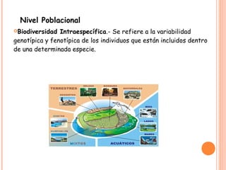 Nivel Poblacional
Biodiversidad  Intraespecífica.- Se refiere a la variabilidad
genotípica y fenotípica de los individuos que están incluidos dentro
de una determinada especie.
 