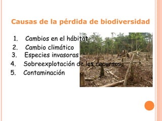 Causas de la pérdida de biodiversidad

 1.    Cambios en el hábitat
2.    Cambio climático
3.    Especies invasoras
4.    Sobreexplotación de los recursos
5.    Contaminación
 