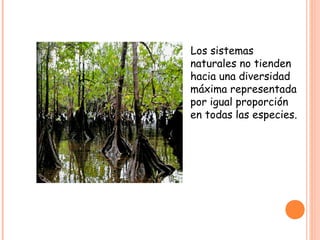 Los sistemas
naturales no tienden
hacia una diversidad
máxima representada
por igual proporción
en todas las especies.
 