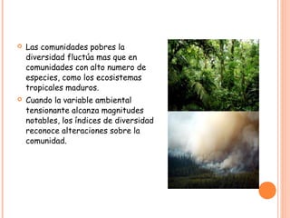    Las comunidades pobres la
    diversidad fluctúa mas que en
    comunidades con alto numero de
    especies, como los ecosistemas
    tropicales maduros.
   Cuando la variable ambiental
    tensionante alcanza magnitudes
    notables, los índices de diversidad
    reconoce alteraciones sobre la
    comunidad.
 