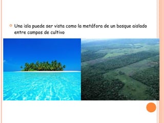    Una isla puede ser vista como la metáfora de un bosque aislado
    entre campos de cultivo
 