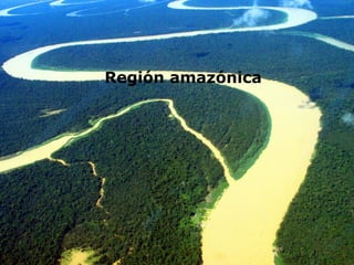 Región amazónica
 