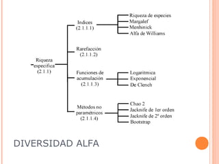 DIVERSIDAD ALFA
 