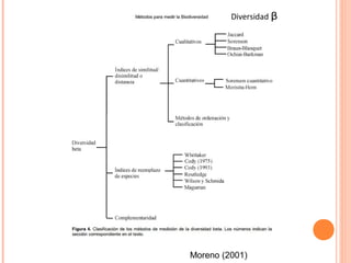 Diversidad   ᵦ




Moreno (2001)
 