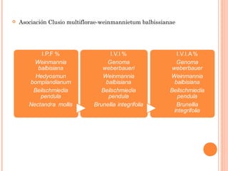    Asociación Clusio multiflorae-weinmannietum balbissianae
 